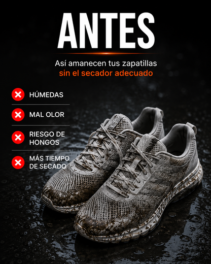 Olvídate del mal olor, la humedad y los hongos
